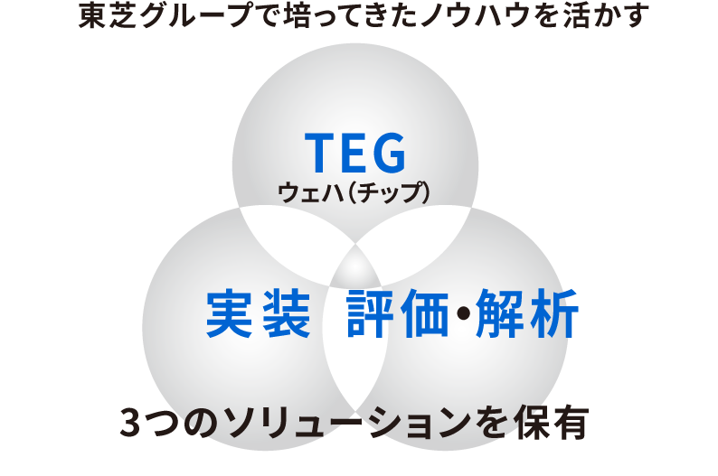 東芝グループで培ってきたノウハウを活かす［3つのソリューションを保有］TEG ウェハ（チップ）／実装／評価・解析